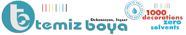 logo-temizboya